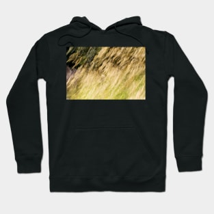 Wild Oats sew some Hoodie